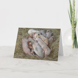 Tarjeta Lechones, cochinillos - animales lindos del bebé