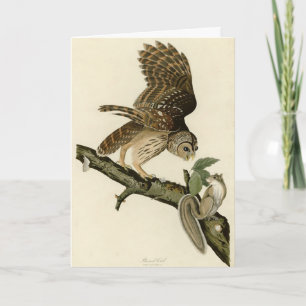 Tarjeta Lechuza Barrada, los pájaros de América de John Ja