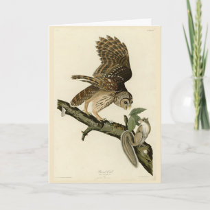 Tarjeta Lechuza Barrada, los pájaros de América de John Ja