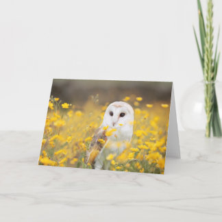 Tarjeta Lechuza común en campo de flor amarillo
