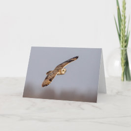 Tarjeta Lechuza de corta duración en las praderas de Shawa