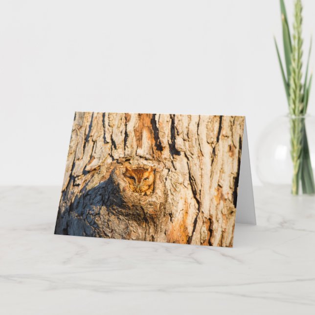 Tarjeta Lechuza de Grito Oriental (Anverso)