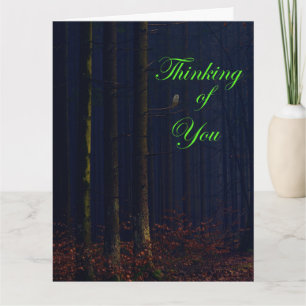 Tarjeta Lechuza nocturna