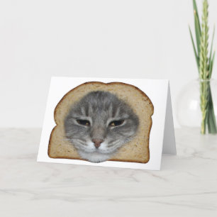 Tarjeta Lector de gatos