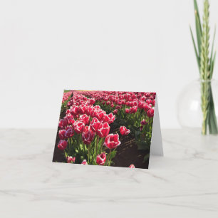 Tarjeta Leen Van Der Mark Tulips, Oregón