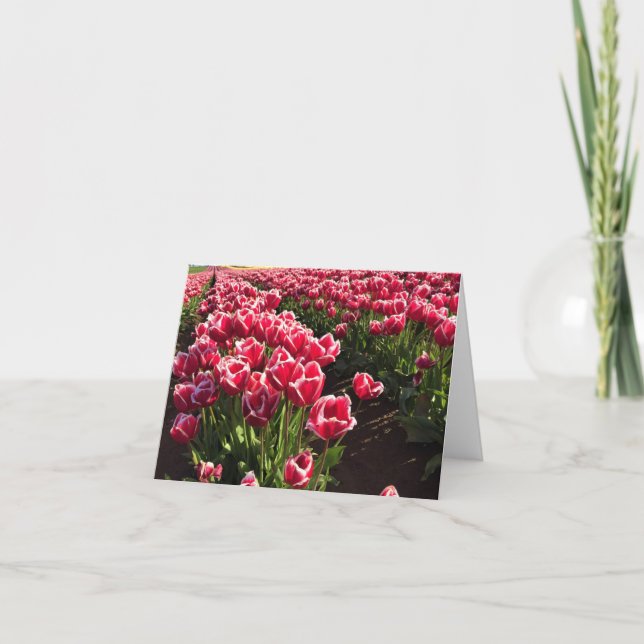 Tarjeta Leen Van Der Mark Tulips, Oregón (Anverso)