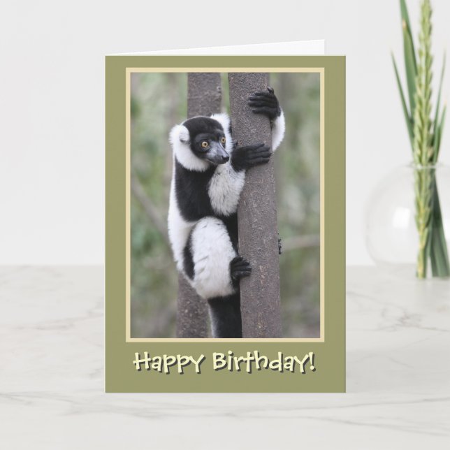 Tarjeta Lemur blanco y negro feliz cumpleaños (Anverso)