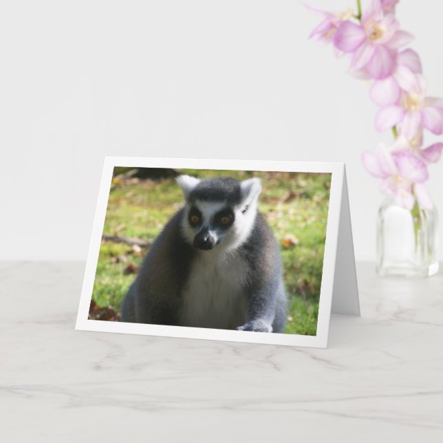 Tarjeta Lemur de cola blanca (Orquídea)