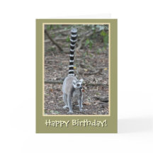 Lemur feliz cumpleaños de Ring-Tail