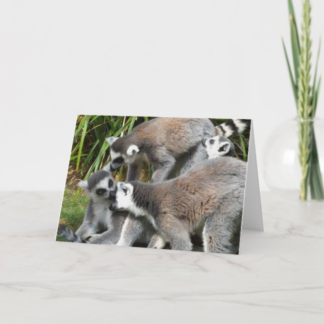Tarjeta Lemurs (Anverso)