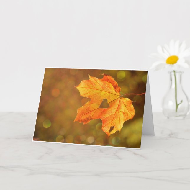 Tarjeta Leña de otoño (Planta pequeña)