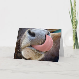 Tarjeta Lengua de Vaca