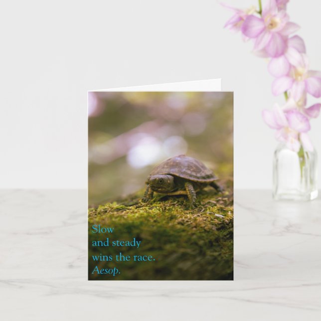 Tarjeta Lento y firme gana la carrera - Esop (Orquídea)