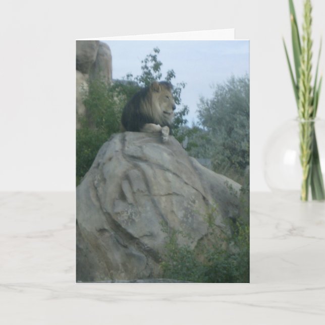 Tarjeta Leo (Anverso)