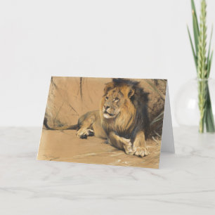 Tarjeta León que descansa   Wilhelm Kuhnert