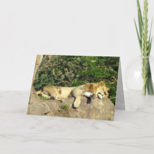 Tarjeta León - Rey de la Selva - Relajación