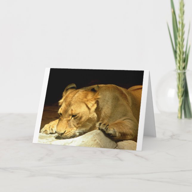 Tarjeta Leona (Anverso)