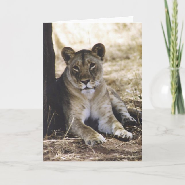 Tarjeta Leona (Anverso)