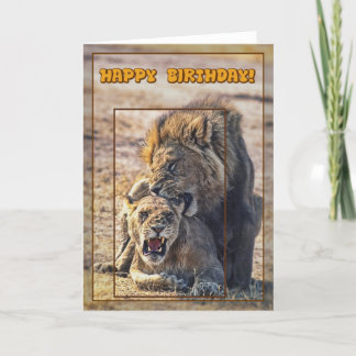 Tarjeta Leones apareados