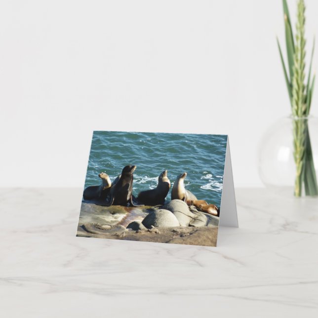 Tarjeta Leones del mar de San Diego (Anverso)