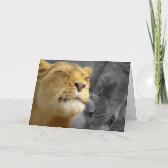 Tarjeta Leones enamorados (Anverso)