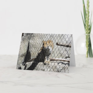 Tarjeta "Leopard #4", mejor carta