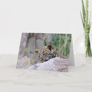 Tarjeta Leopard Cub