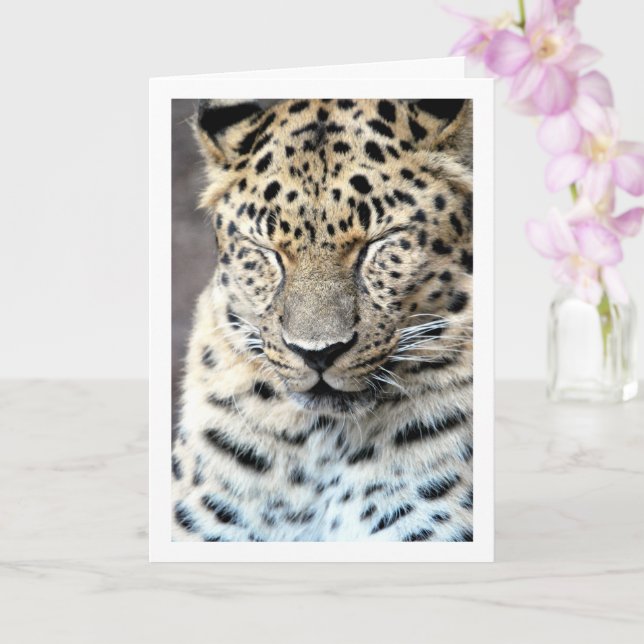 Tarjeta Leopardo con los Ojos Cerrados (Orquídea)