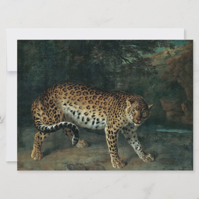 Tarjeta Leopardo hembra (por Jean-Baptiste Oudry) (Anverso)