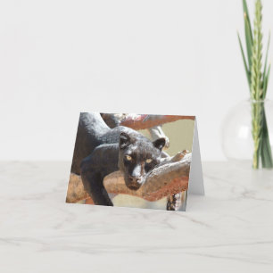 Tarjeta Leopardo negro