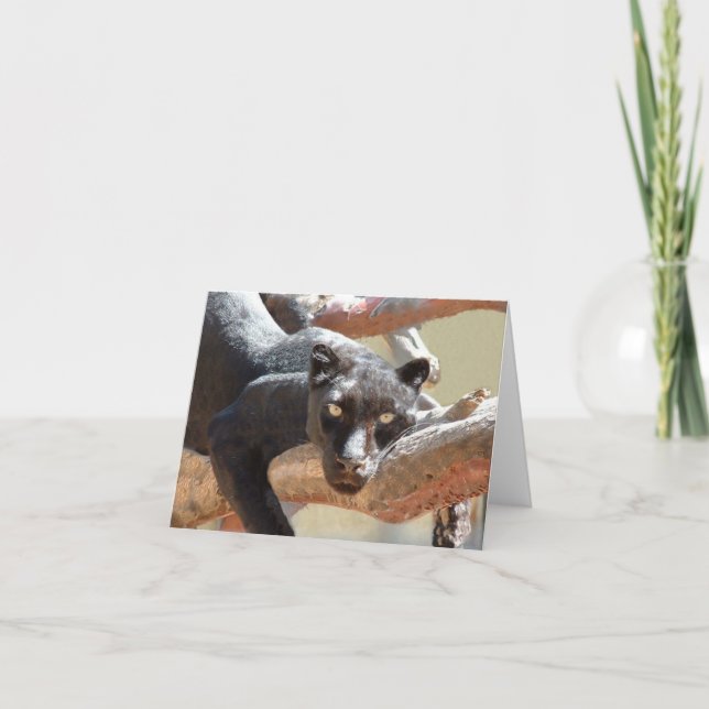 Tarjeta Leopardo negro (Anverso)