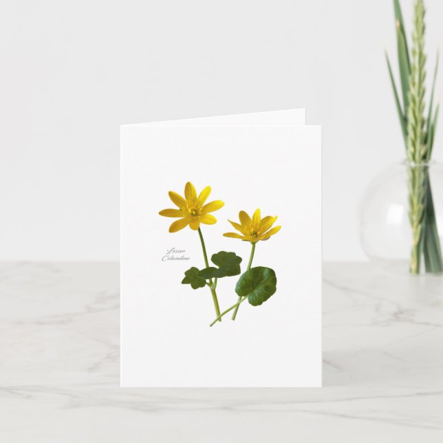 Tarjeta Lesser Celandine (Anverso)