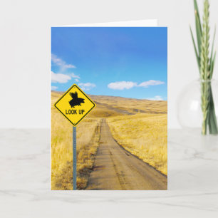 Tarjeta Levantar Los Ojos Para Que Los Cerdos Puedan Volar