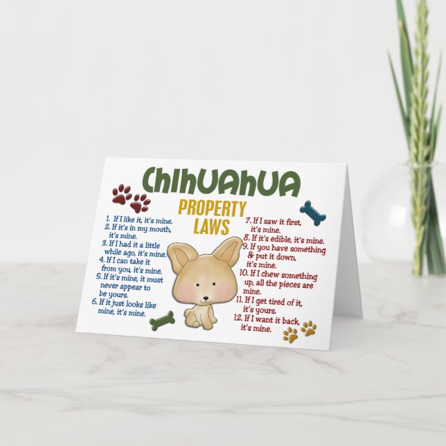 Tarjeta Leyes 4 de la propiedad de la chihuahua (Anverso)