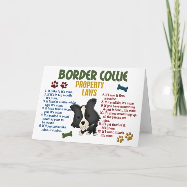Tarjeta Leyes 4 de la propiedad del border collie (Anverso)