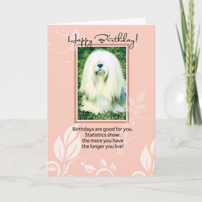 Tarjeta Lhasa Apso Dog Cumpleaños Humorístico (Anverso)