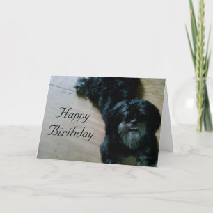 TARJETA LHASA TAMBIÉN DESEA UN CUMPLEAÑOS FELIZ