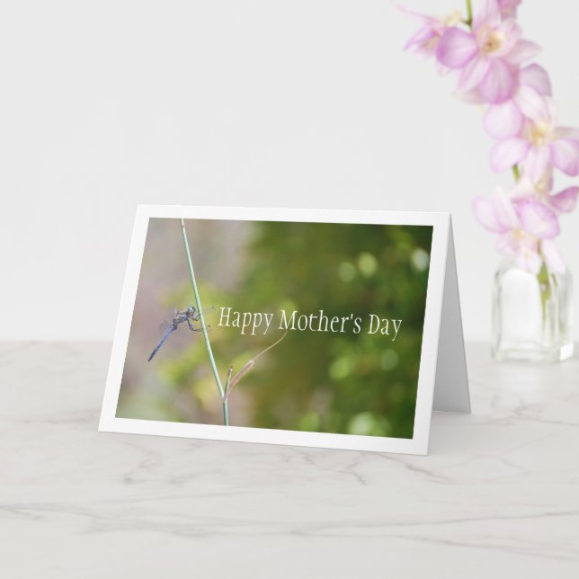 Tarjeta Libélula azul en retrato de tallo (Orquídea)