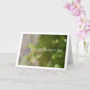 Tarjeta Libélula azul en retrato de tallo