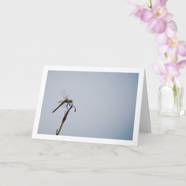 Tarjeta Libélula con bastón (Orquídea)