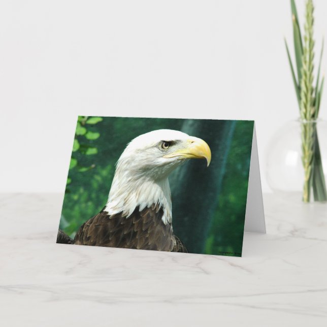 Tarjeta Libertad (Anverso)