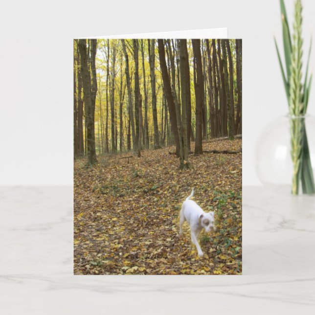 Tarjeta Libre de ejecutar (Anverso)