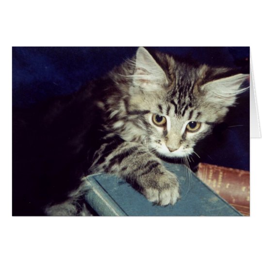 Tarjeta Libros y gatos