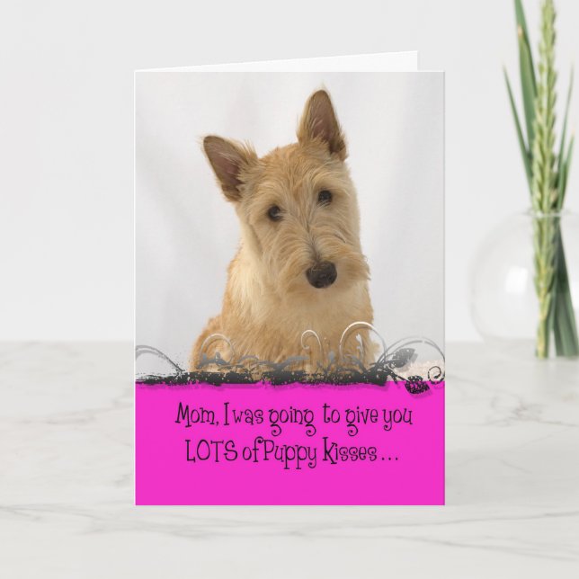 Tarjeta Licencia de Licker del día de madre de Annie (Anverso)