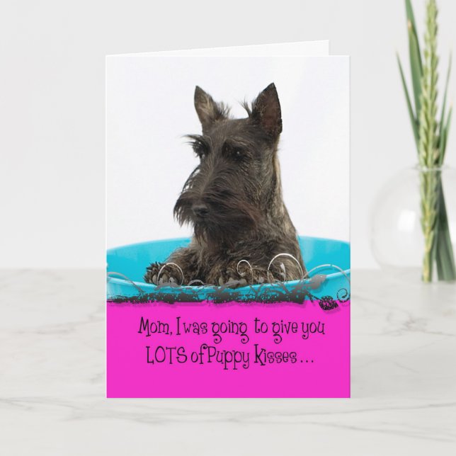 Tarjeta Licencia de Licker del día de madre de Marilyn (Anverso)