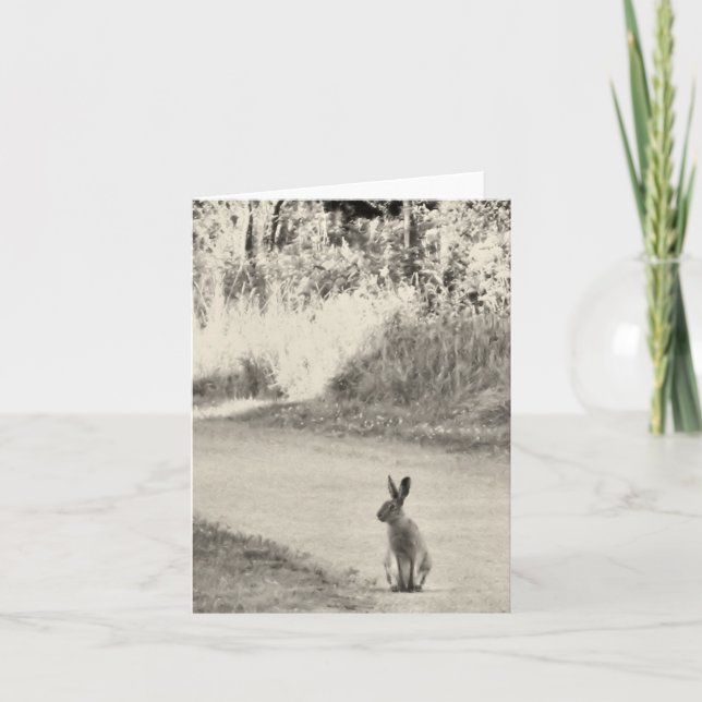 Tarjeta Liebres hoy (Anverso)