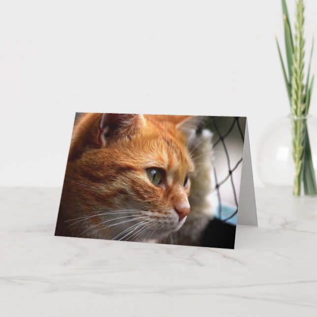 Tarjeta Life Sucks Animación Estoy aquí por ti (Anverso)