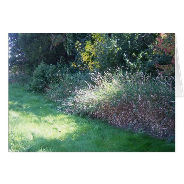 Tarjeta ligera del verano (Anverso (Horizontal))