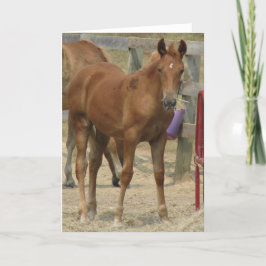 Tarjeta Lil' one