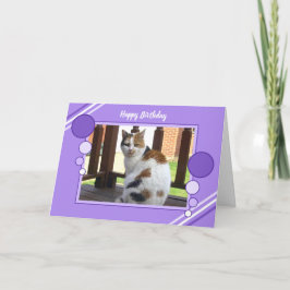 Tarjeta Lila de la púrpura de la foto del gato de calicó